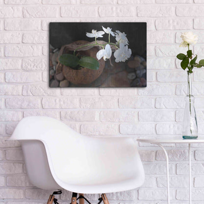 Luxe Metal Art 'Orchid Flowers' by Elena Ray, Metal Wall Art,24x16