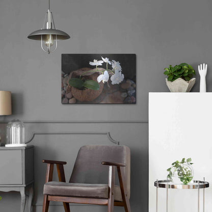 Luxe Metal Art 'Orchid Flowers' by Elena Ray, Metal Wall Art,24x16