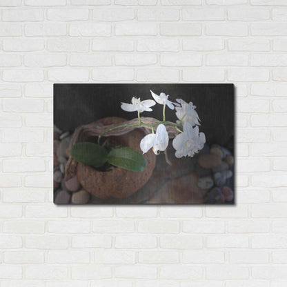 Luxe Metal Art 'Orchid Flowers' by Elena Ray, Metal Wall Art,36x24