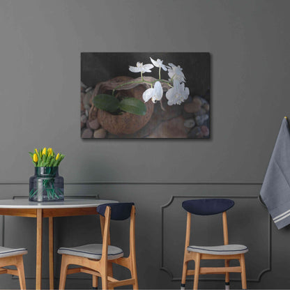 Luxe Metal Art 'Orchid Flowers' by Elena Ray, Metal Wall Art,36x24