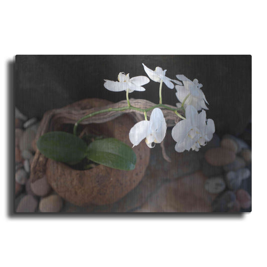 Luxe Metal Art 'Orchid Flowers' by Elena Ray, Metal Wall Art