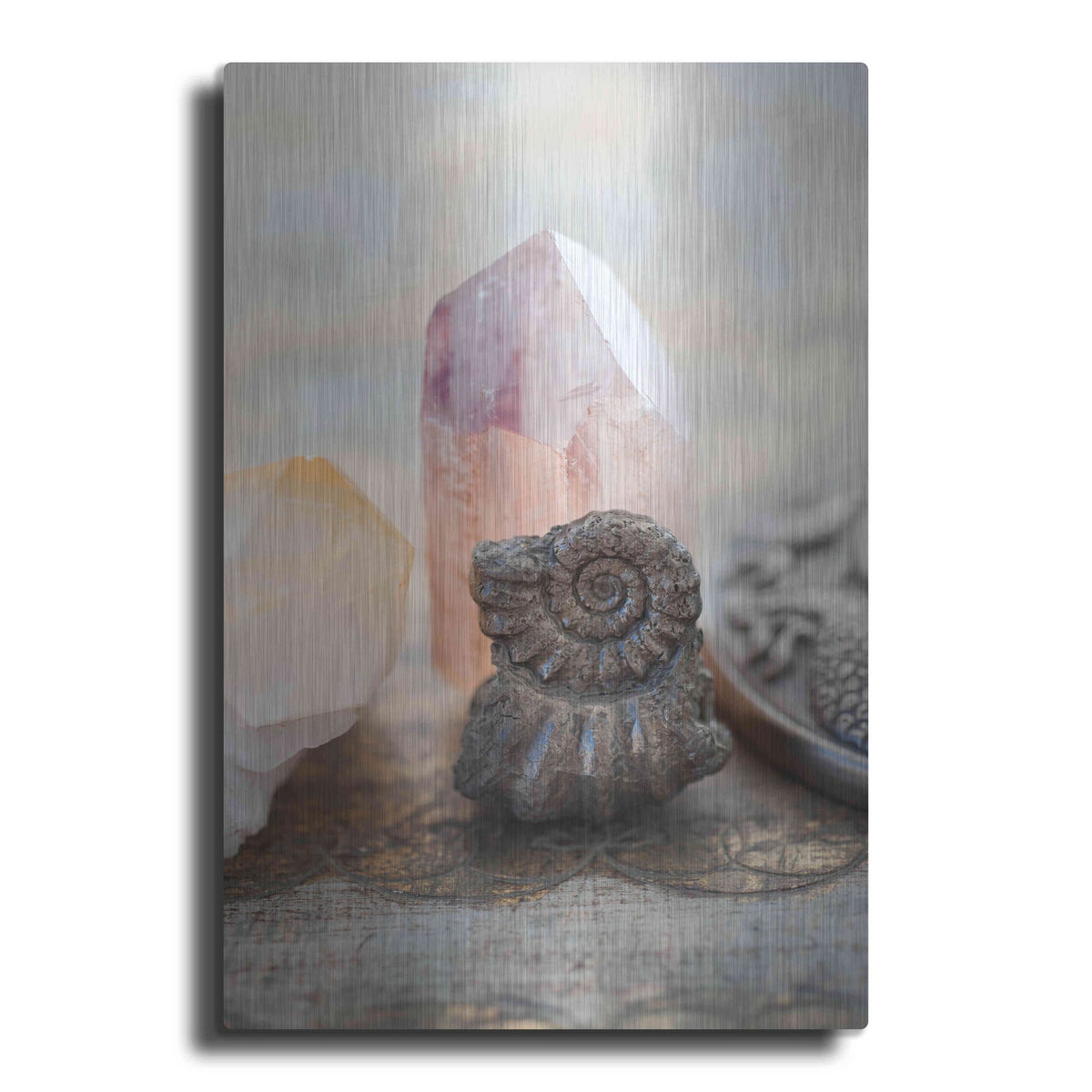 Luxe Metal Art 'Crystal and Fossil' by Elena Ray, Metal Wall Art