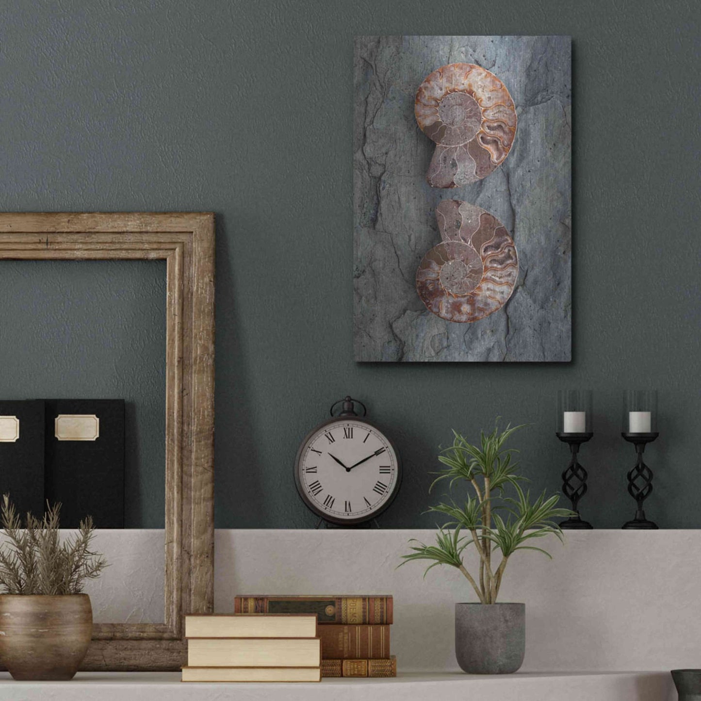 Luxe Metal Art 'Crystallized Ammonites' by Elena Ray, Metal Wall Art,12x16