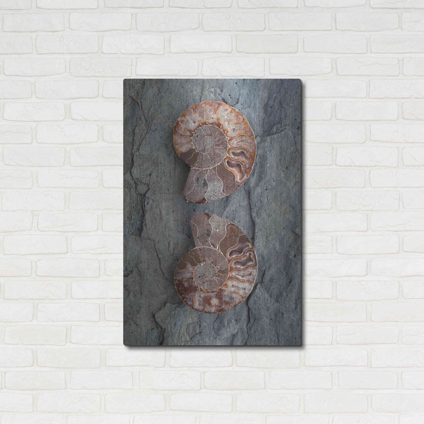 Luxe Metal Art 'Crystallized Ammonites' by Elena Ray, Metal Wall Art,24x36