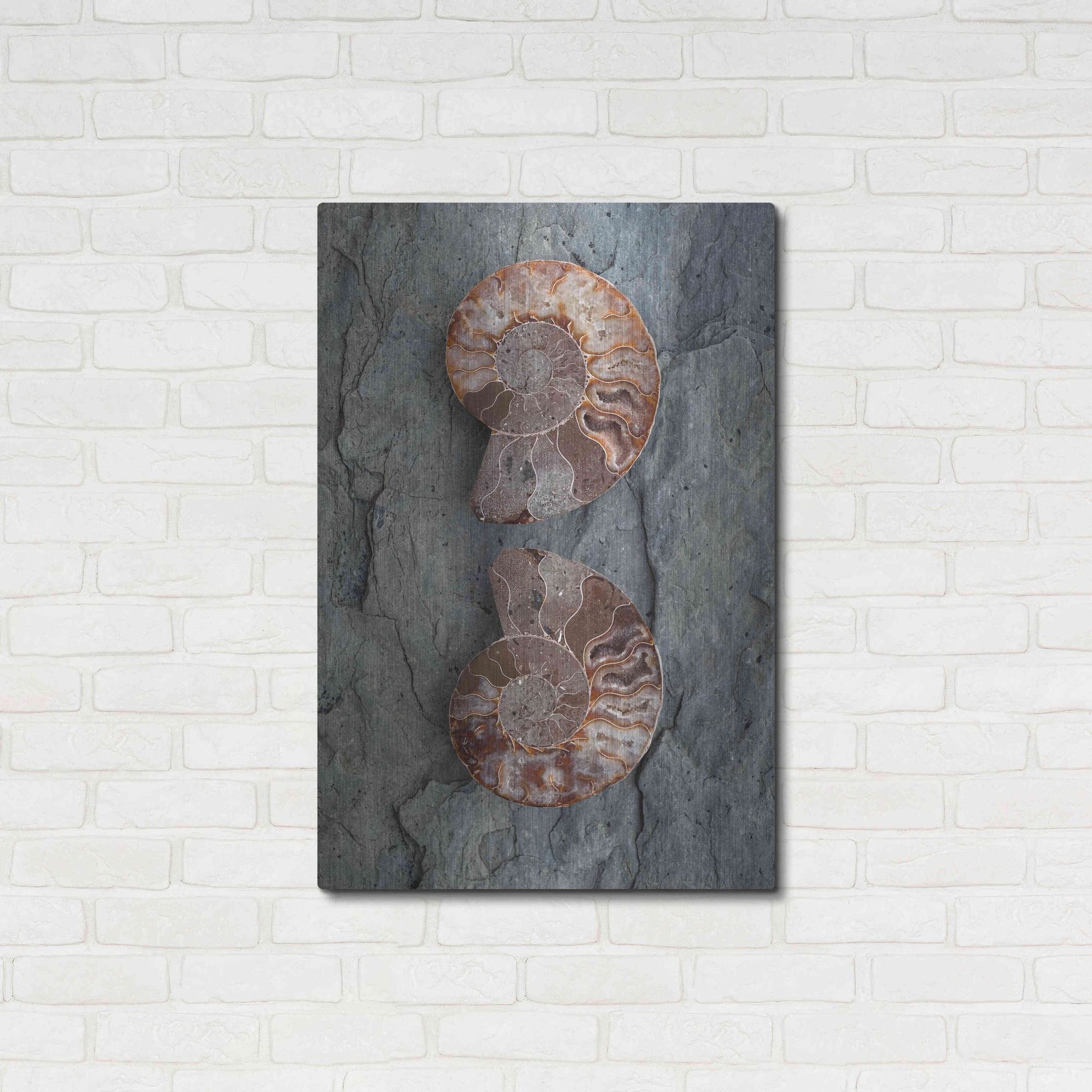 Luxe Metal Art 'Crystallized Ammonites' by Elena Ray, Metal Wall Art,24x36