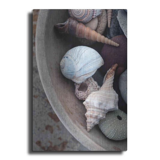 Luxe Metal Art 'Beachcomber Collection' by Elena Ray, Metal Wall Art