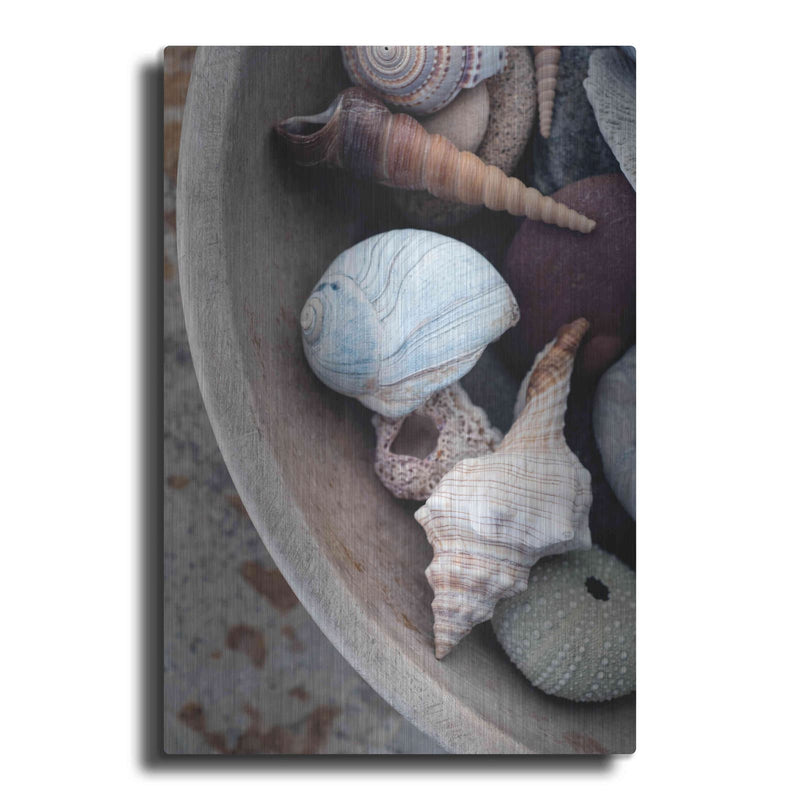 'Beachcomber Collection' by Elena Ray – Metal Wall Art