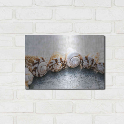 Luxe Metal Art 'Spiral Seashells' by Elena Ray, Metal Wall Art,16x12