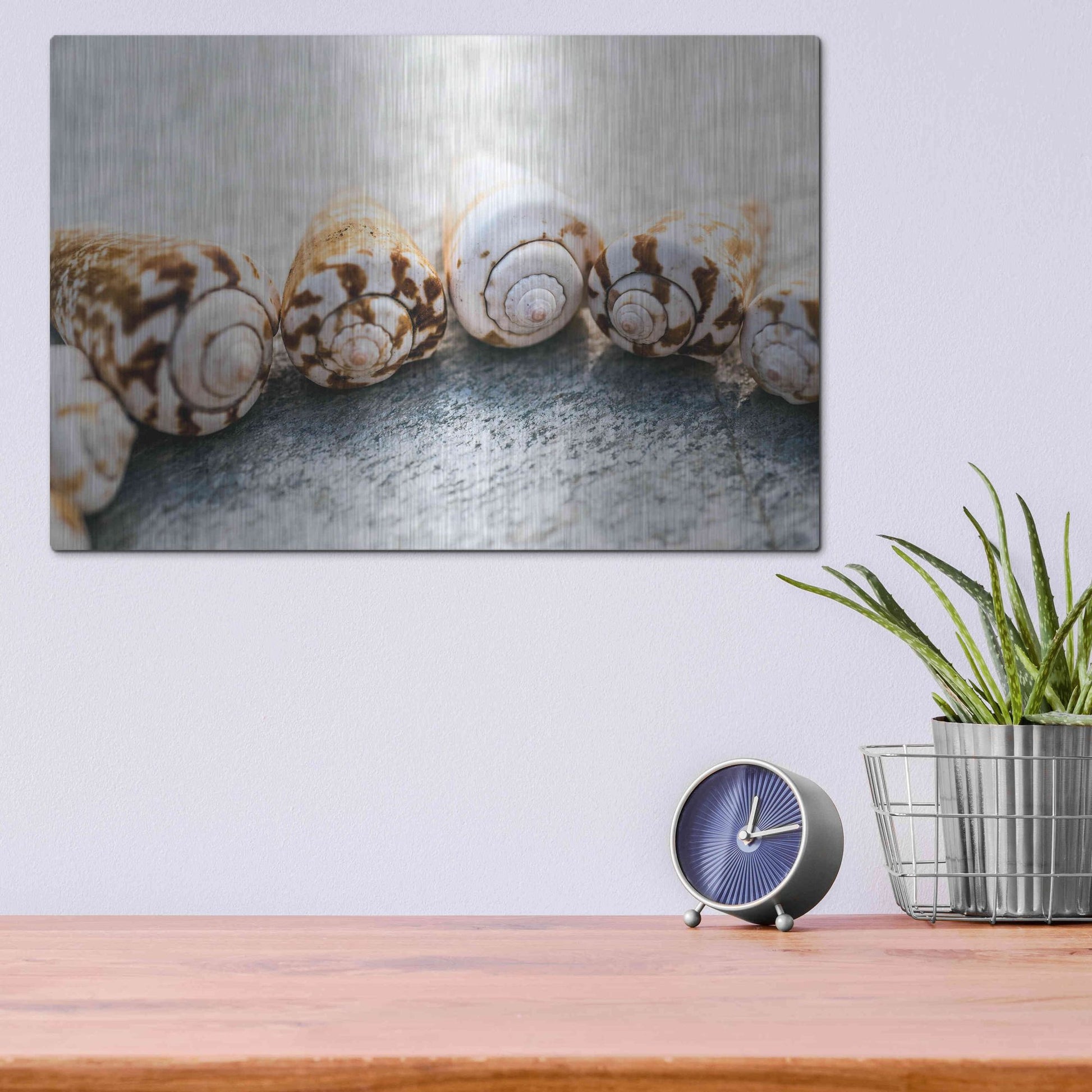 Luxe Metal Art 'Spiral Seashells' by Elena Ray, Metal Wall Art,16x12