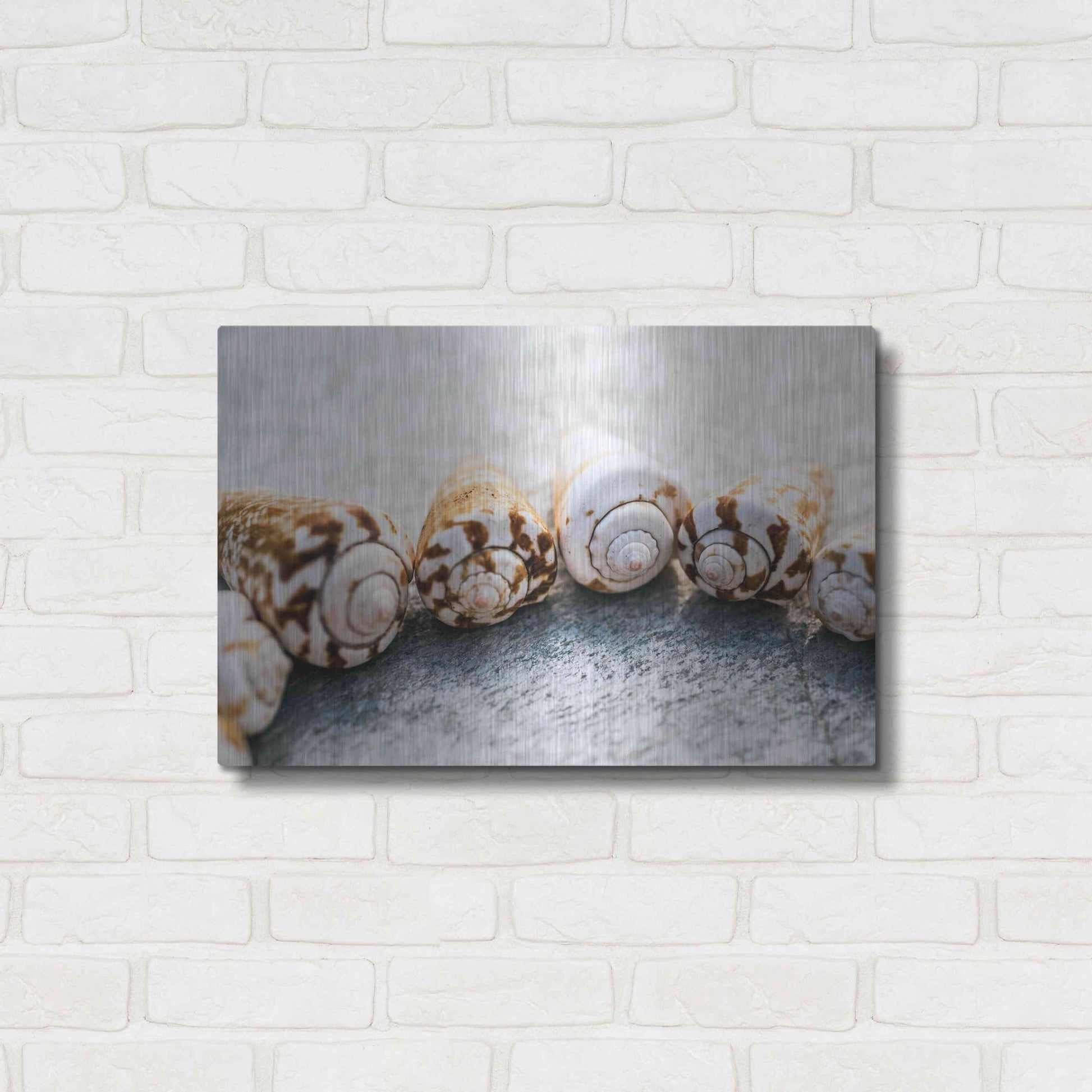 Luxe Metal Art 'Spiral Seashells' by Elena Ray, Metal Wall Art,24x16