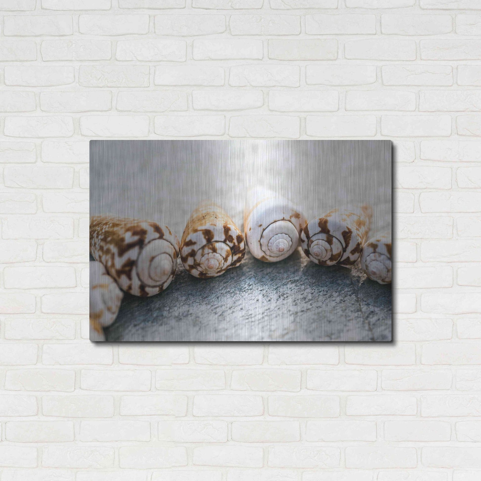 Luxe Metal Art 'Spiral Seashells' by Elena Ray, Metal Wall Art,36x24