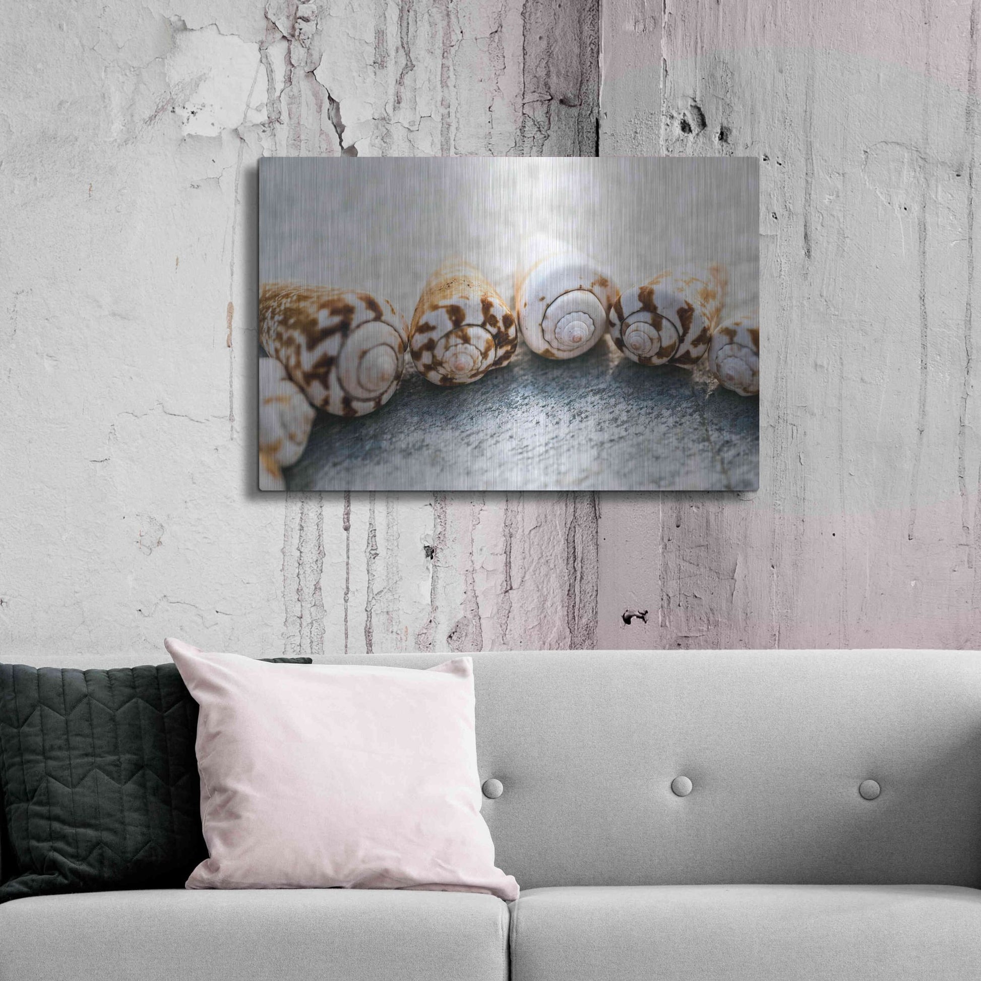 Luxe Metal Art 'Spiral Seashells' by Elena Ray, Metal Wall Art,36x24