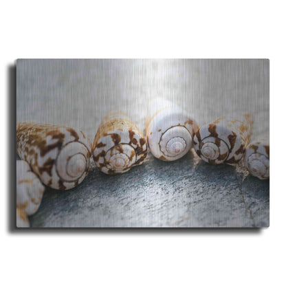 Luxe Metal Art 'Spiral Seashells' by Elena Ray, Metal Wall Art