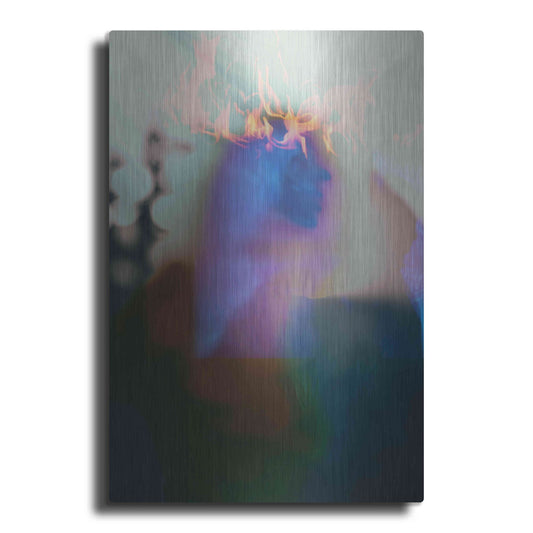 Luxe Metal Art 'Individuation' by Elena Ray, Metal Wall Art