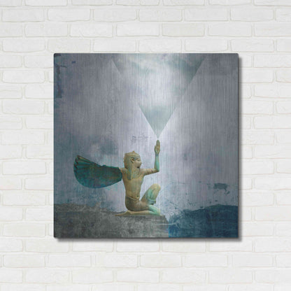 Luxe Metal Art 'Horus Recharging In The Clouds' by Elena Ray, Metal Wall Art,36x36