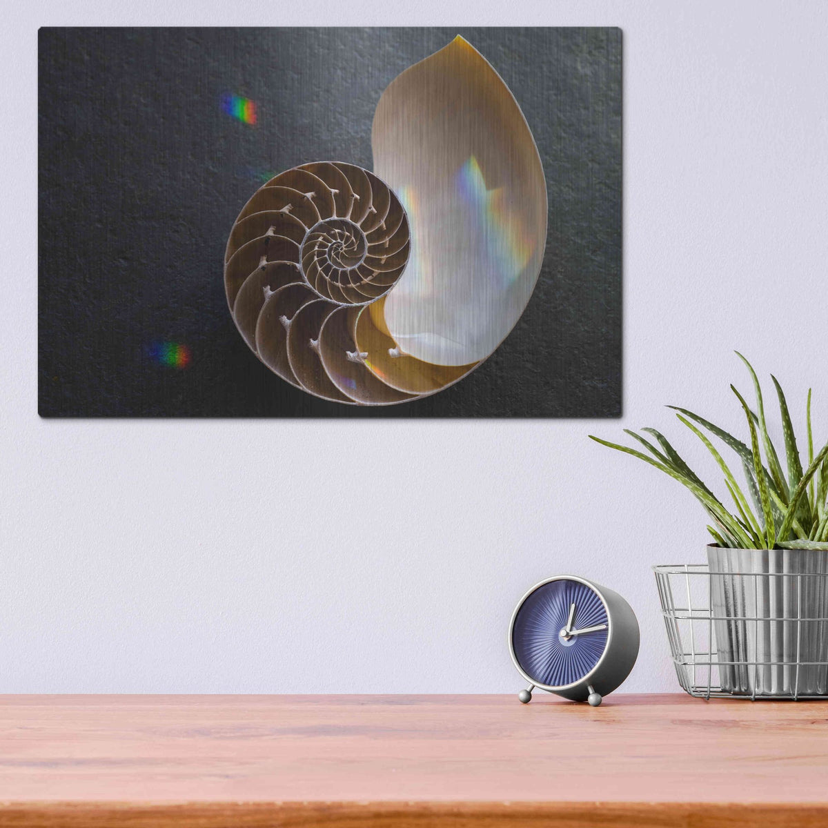 Luxe Metal Art 'Sacred Geometry Nautilus Shell' by Elena Ray, Metal Wall Art,16x12
