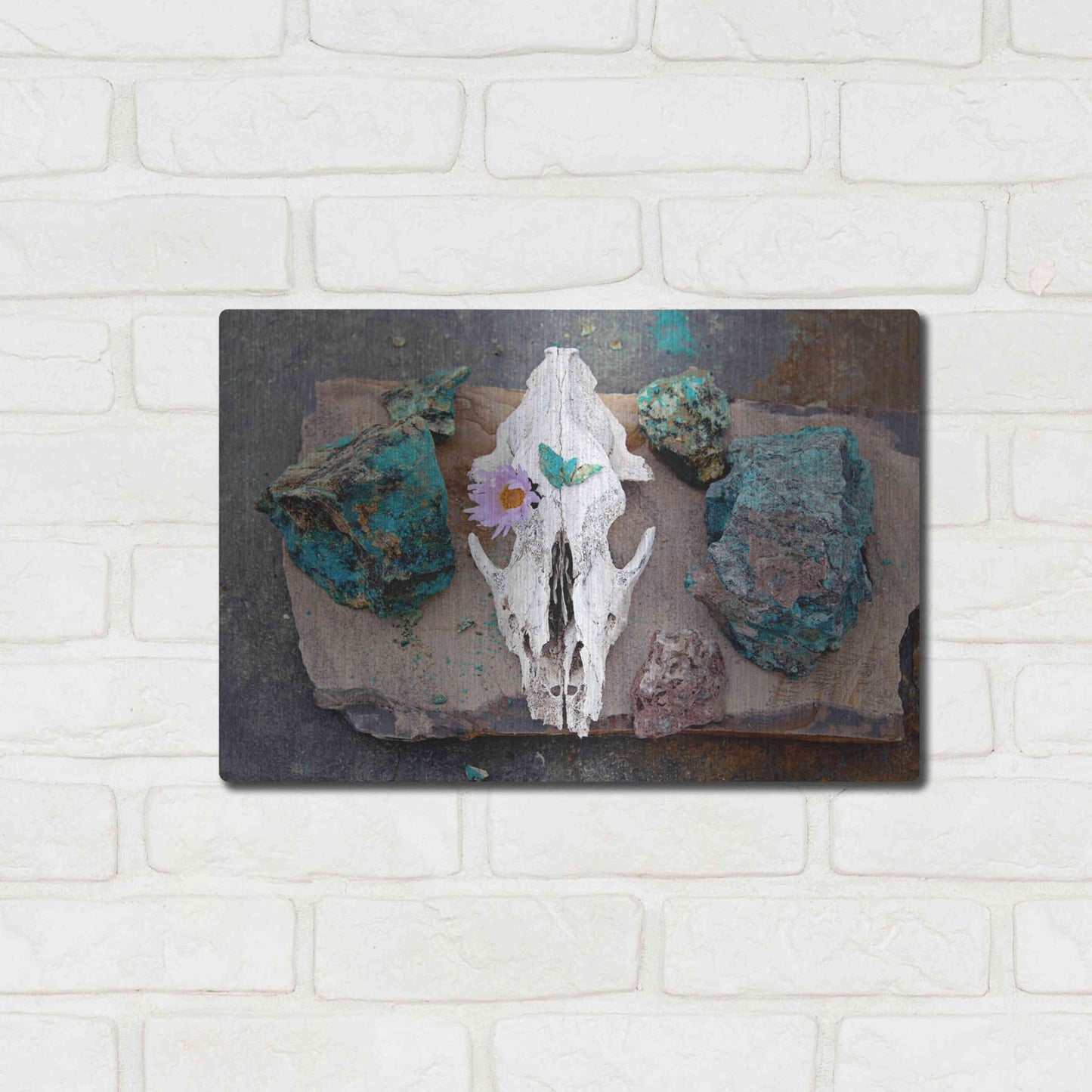 Luxe Metal Art 'Coyote Shaman Altar' by Elena Ray, Metal Wall Art,16x12