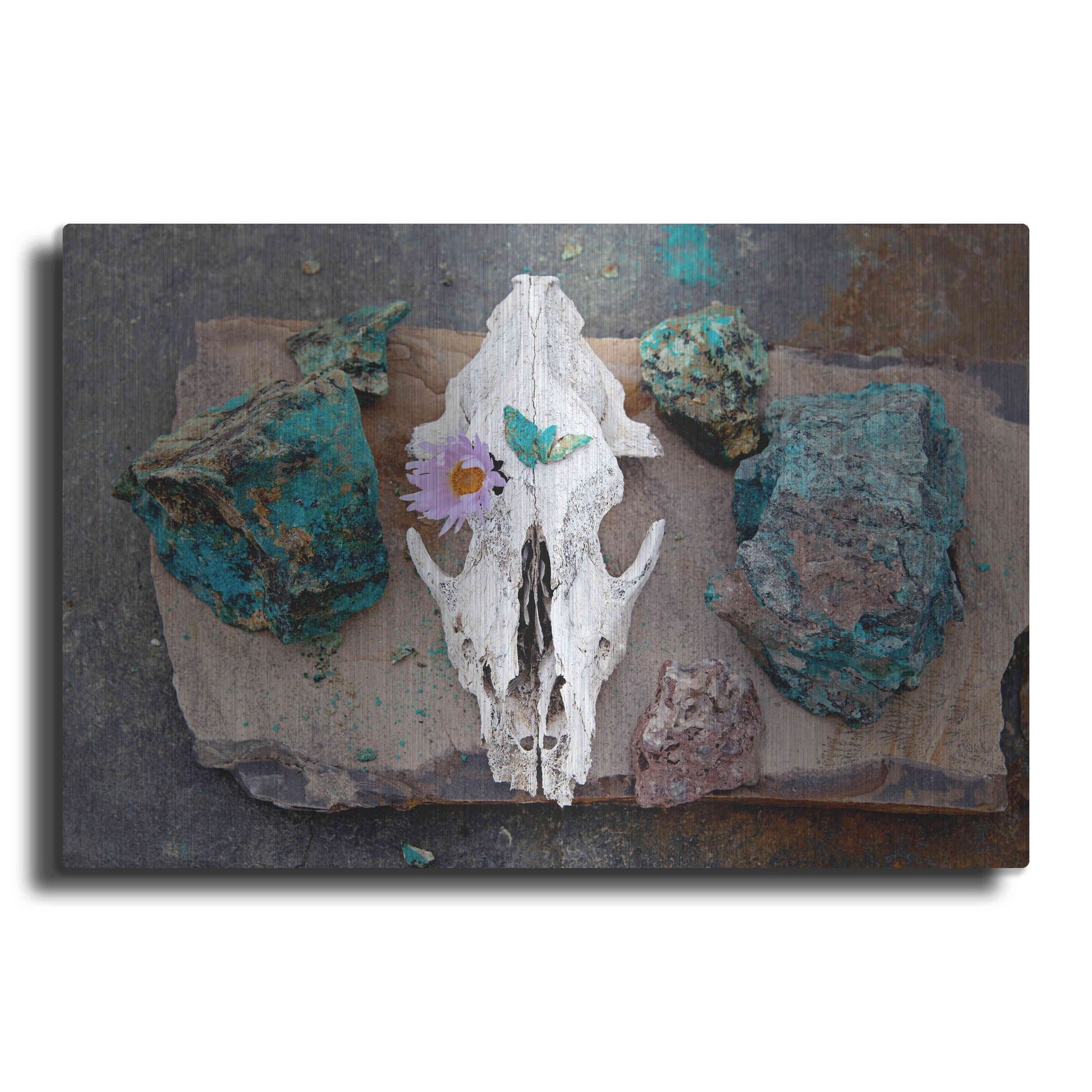 Luxe Metal Art 'Coyote Shaman Altar' by Elena Ray, Metal Wall Art