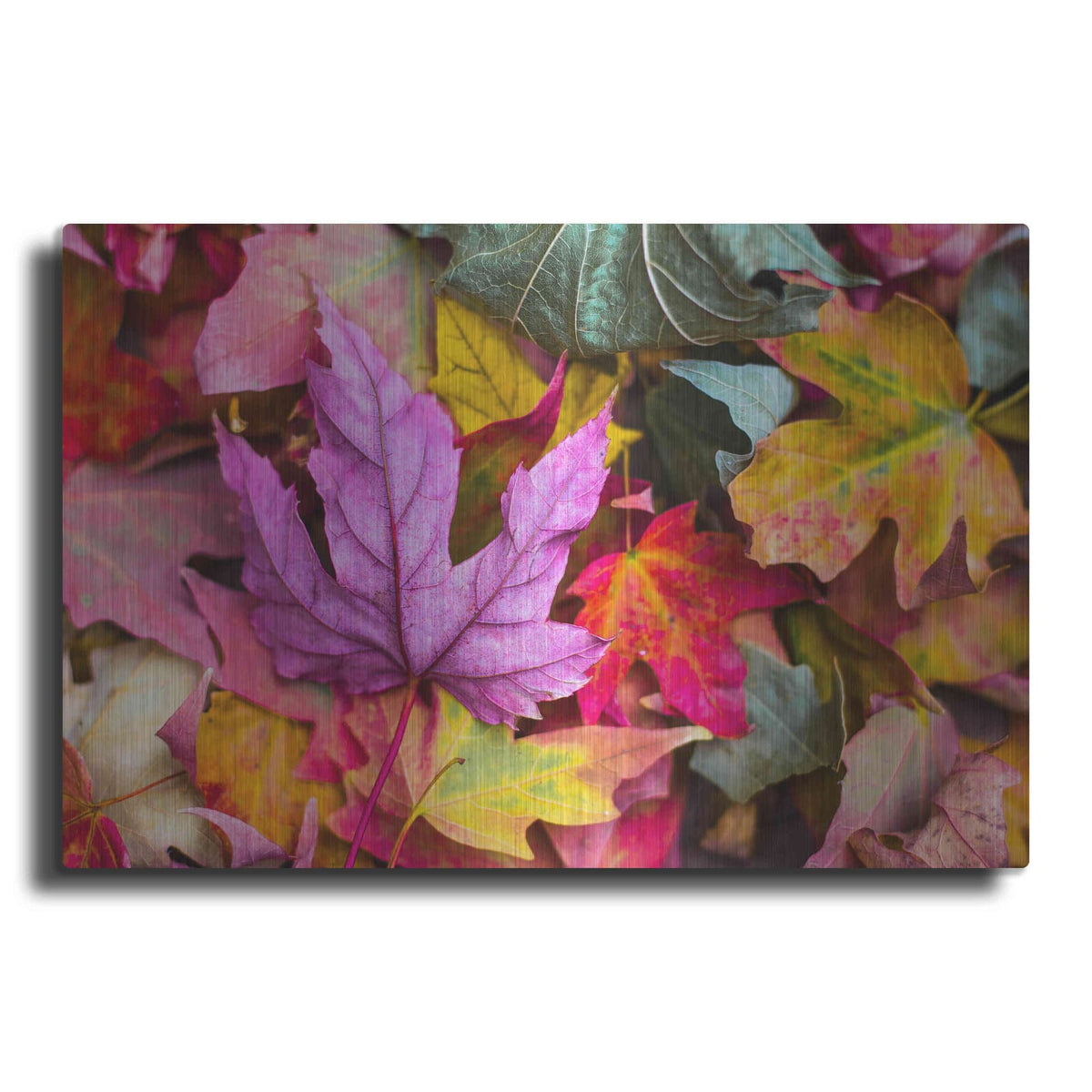 'Beautiful Fall' by Luxe Metal Portfolio – Metal Wall Art