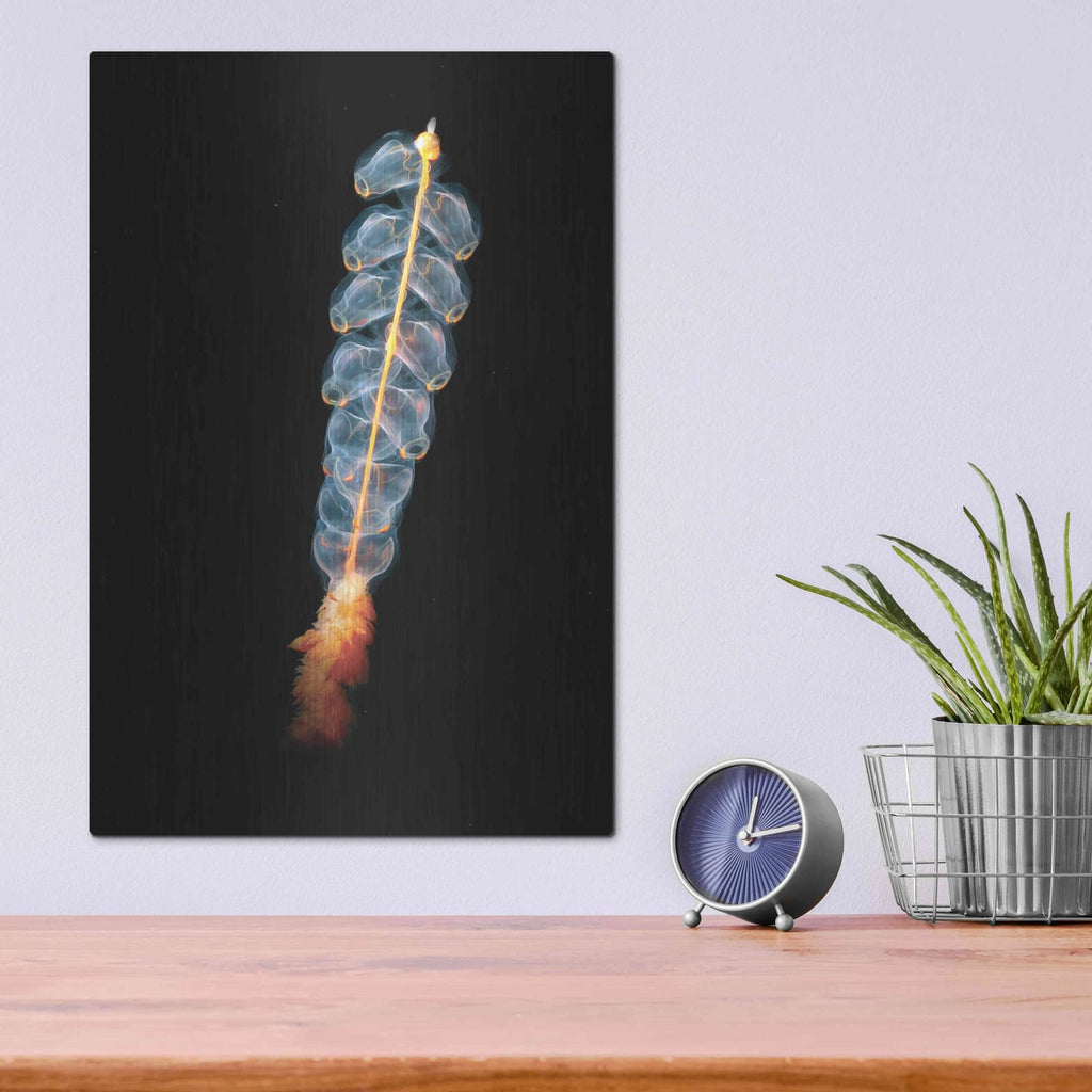 'Deep Sea Rocket' by Luxe Metal Portfolio – Metal Wall Art, 12x16 room view
