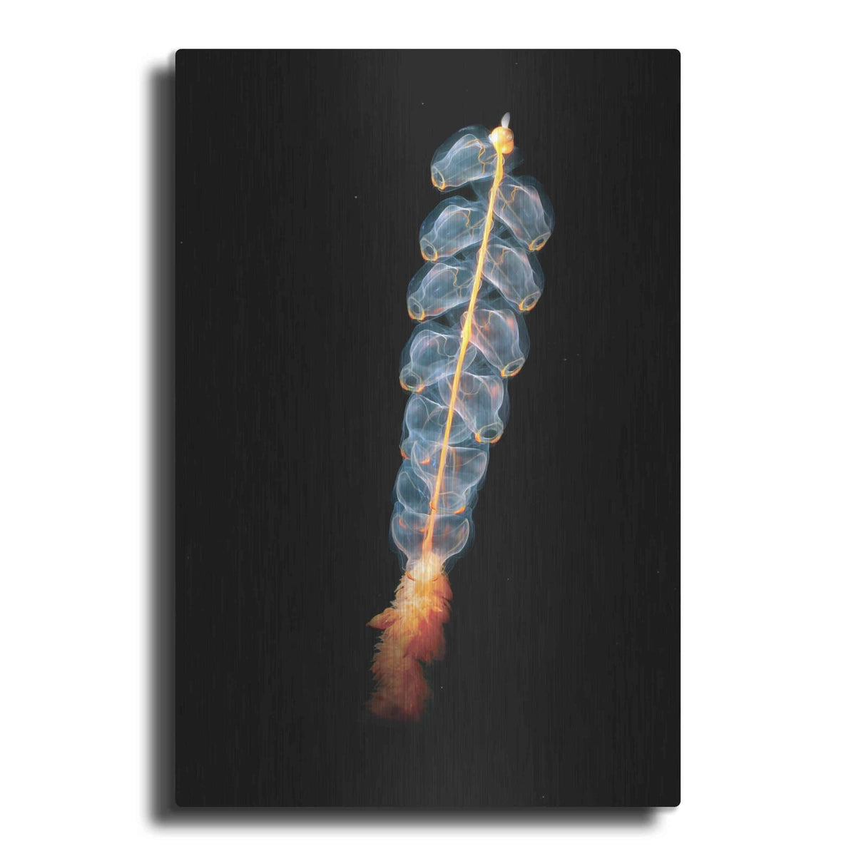 'Deep Sea Rocket' by Luxe Metal Portfolio – Metal Wall Art