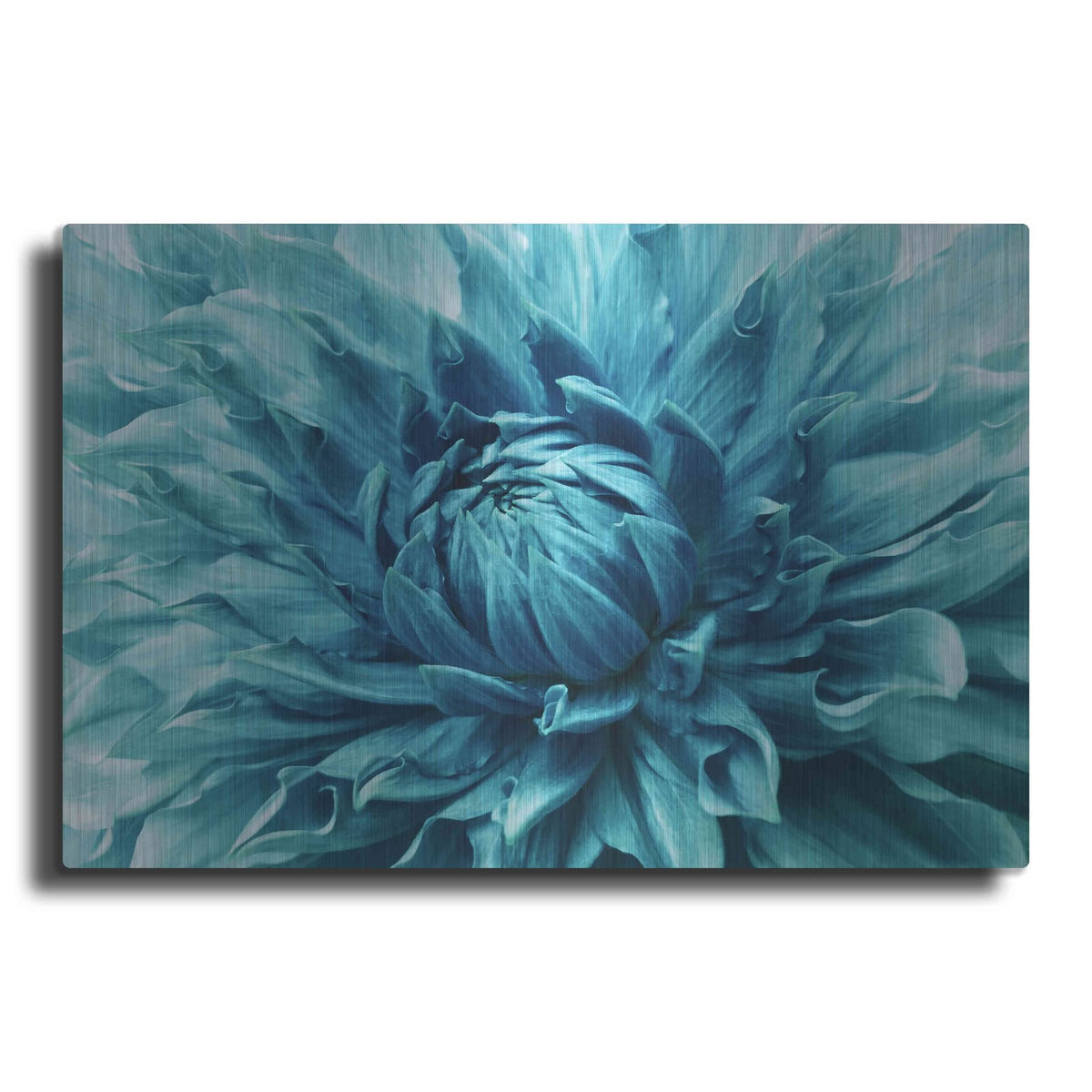 'Turquoise Dahlia' by Luxe Metal Portfolio – Metal Wall Art