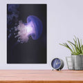'Underwater Mushroom' by Luxe Metal Portfolio – Metal Wall Art, 12x16 room view