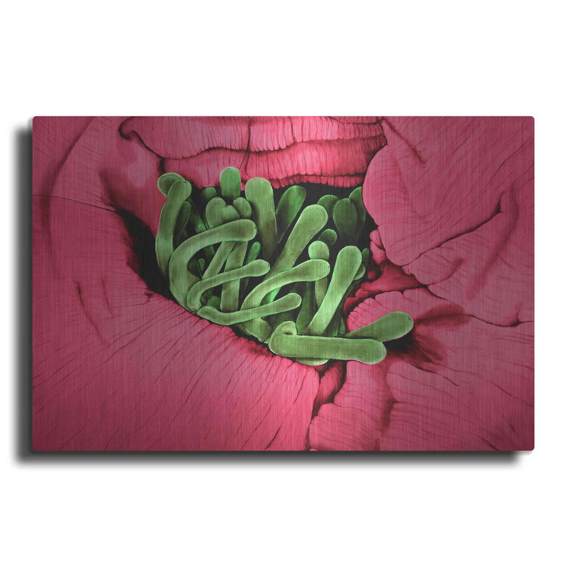 'Folds' by Rita Shimelfarb – Metal Wall Art