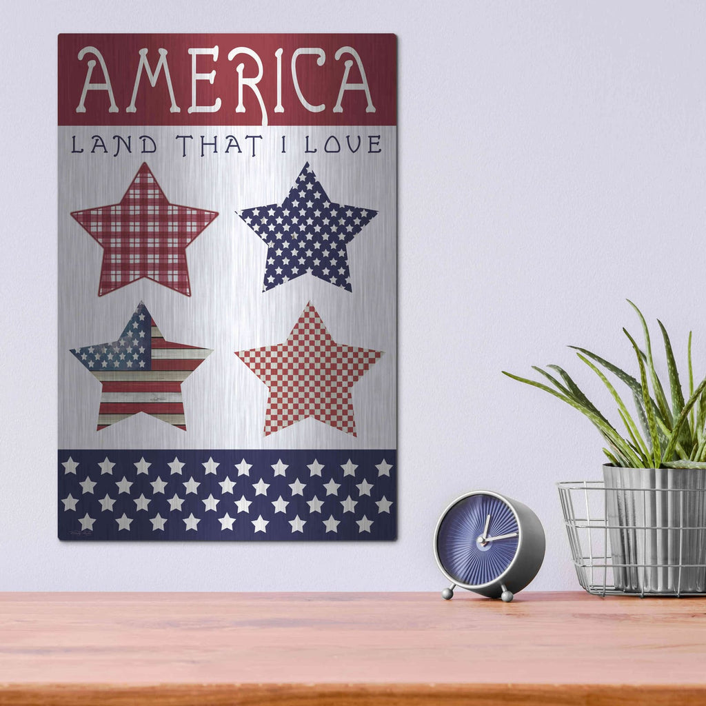 'Stars of America' by Cindy Jacobs – Metal Wall Art, 12x16 room view