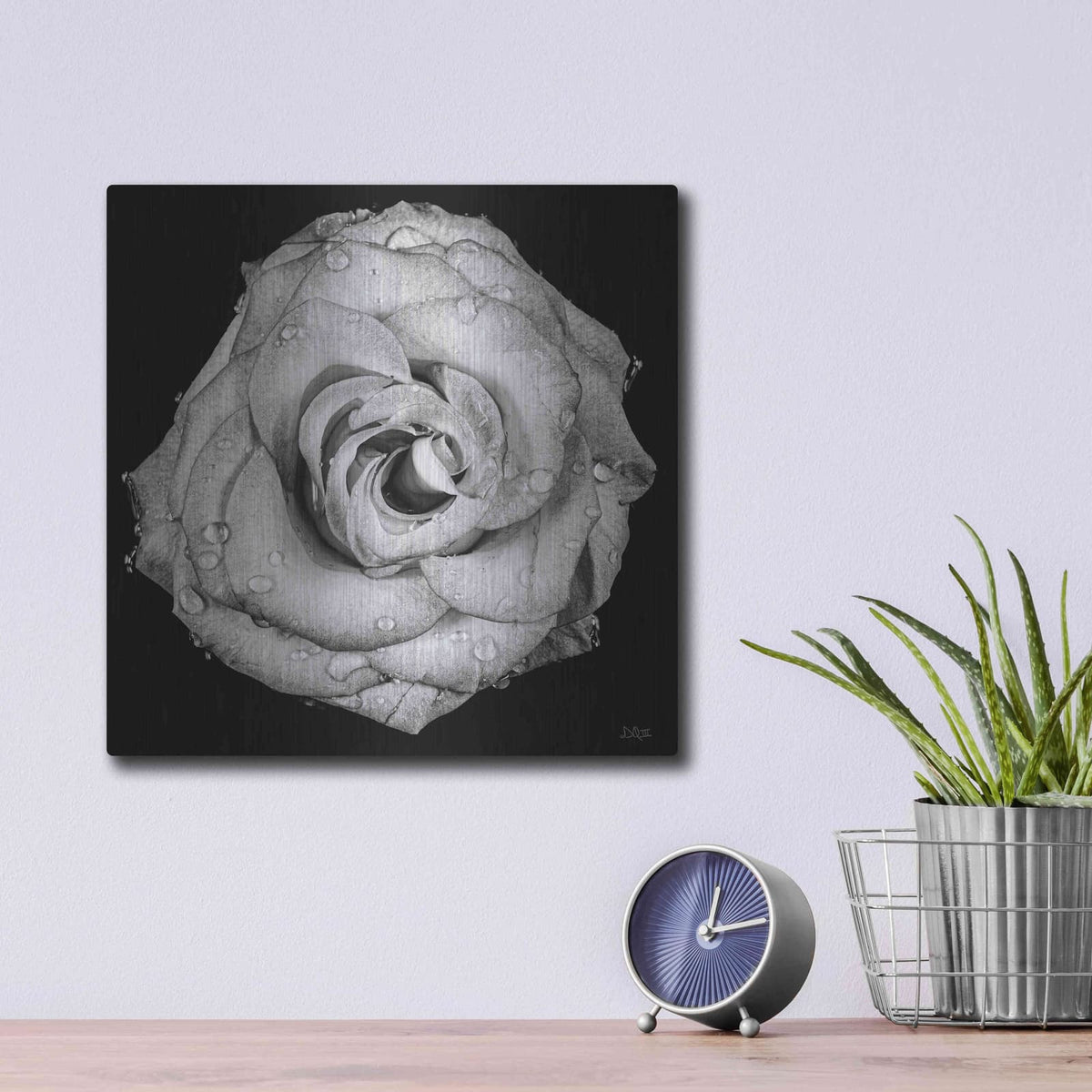 'A Love Lost' by Donnie Quillen – Metal Wall Art, 12x12 room view