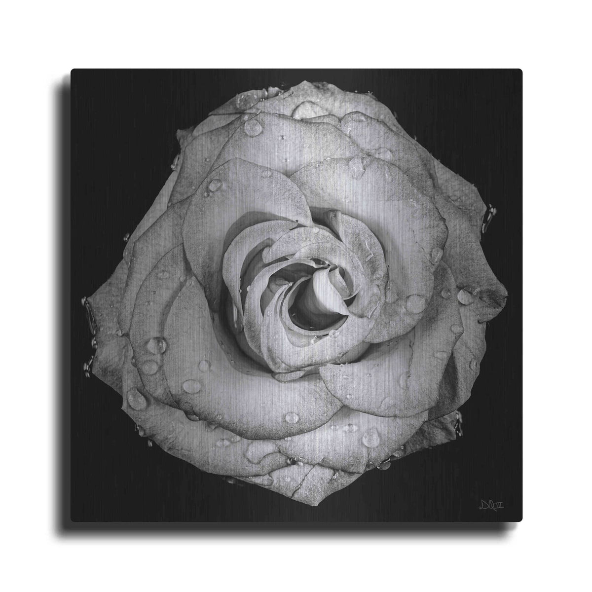 'A Love Lost' by Donnie Quillen – Metal Wall Art