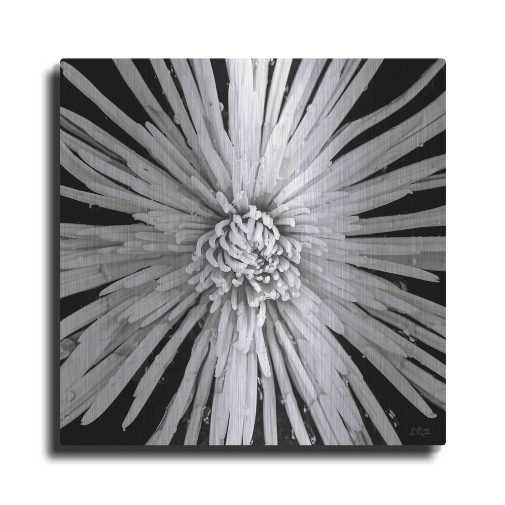 'Black and White Love' by Donnie Quillen – Metal Wall Art