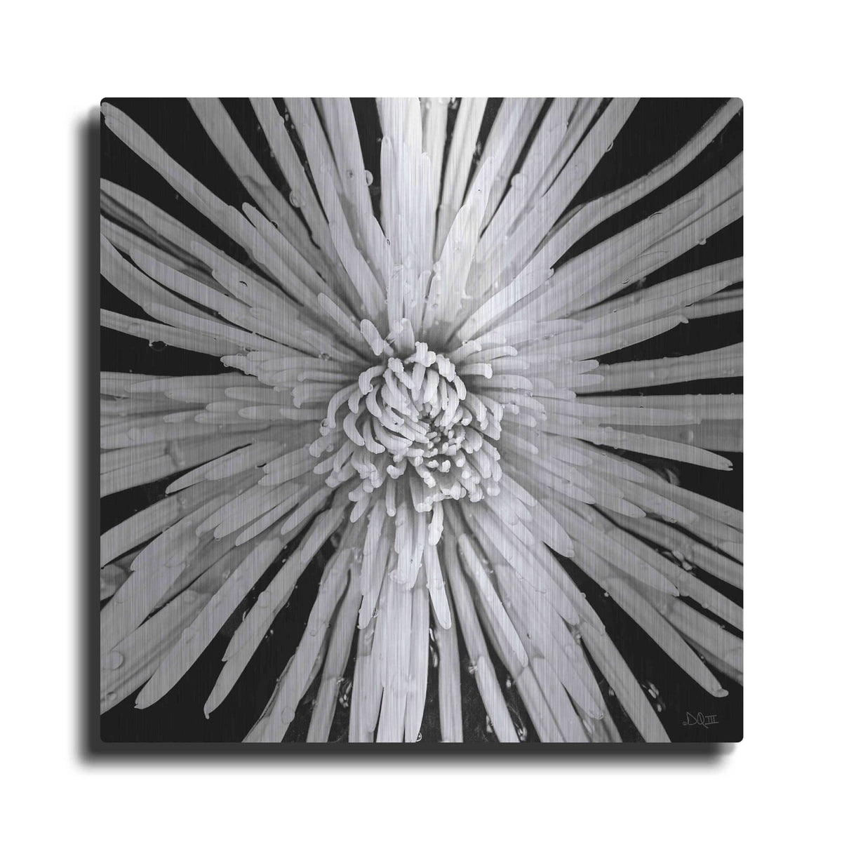 'Black and White Love' by Donnie Quillen – Metal Wall Art
