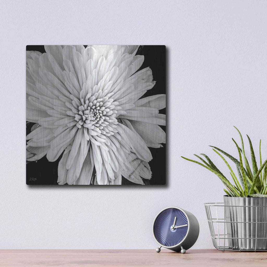 'Black and White Love II' by Donnie Quillen – Metal Wall Art, 12x12 room view