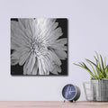 'Black and White Love II' by Donnie Quillen – Metal Wall Art, 12x12 room view