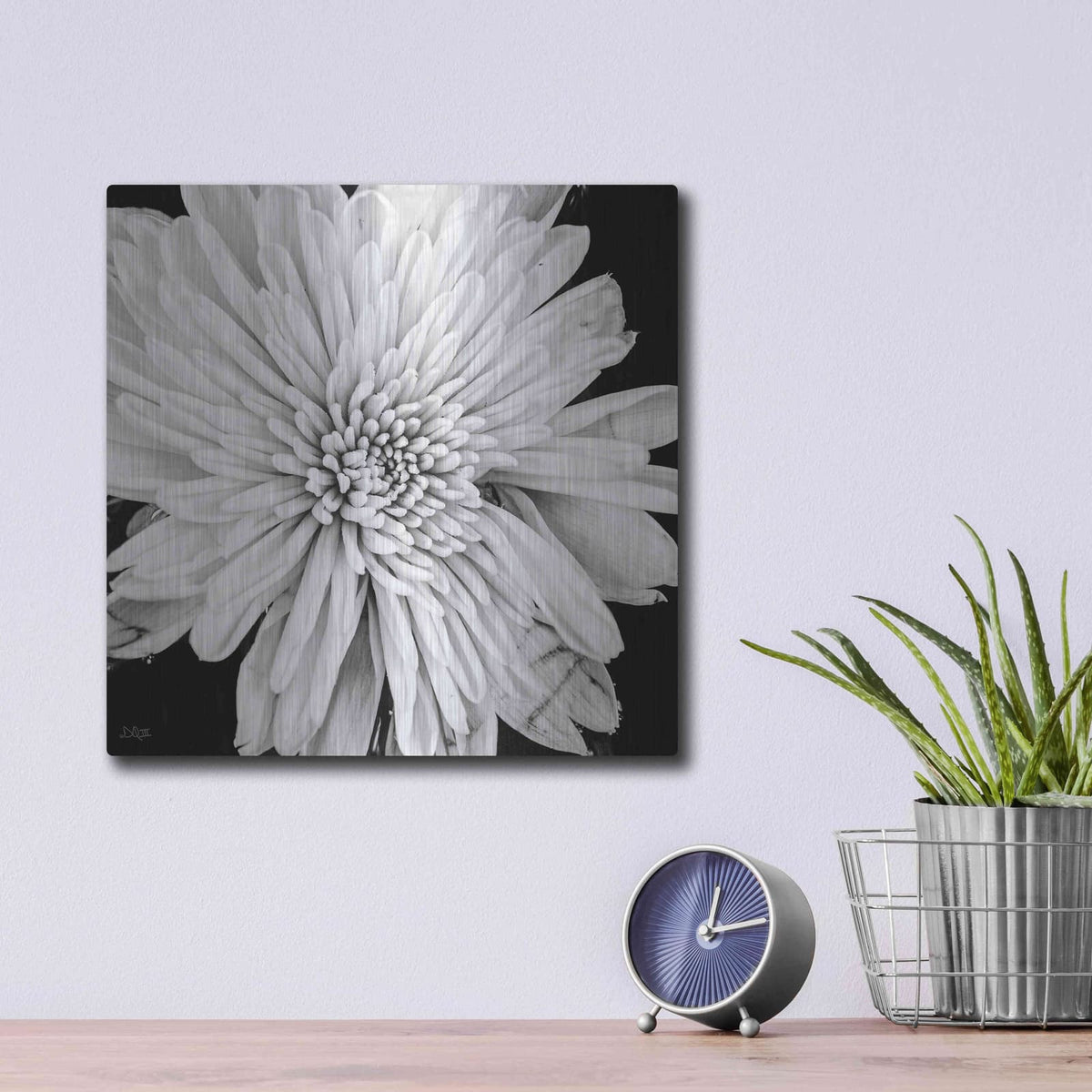 'Black and White Love II' by Donnie Quillen – Metal Wall Art, 12x12 room view