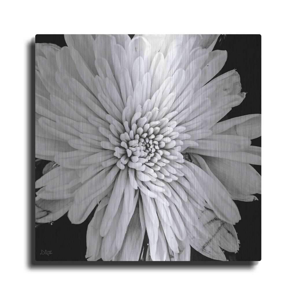 'Black and White Love II' by Donnie Quillen – Metal Wall Art