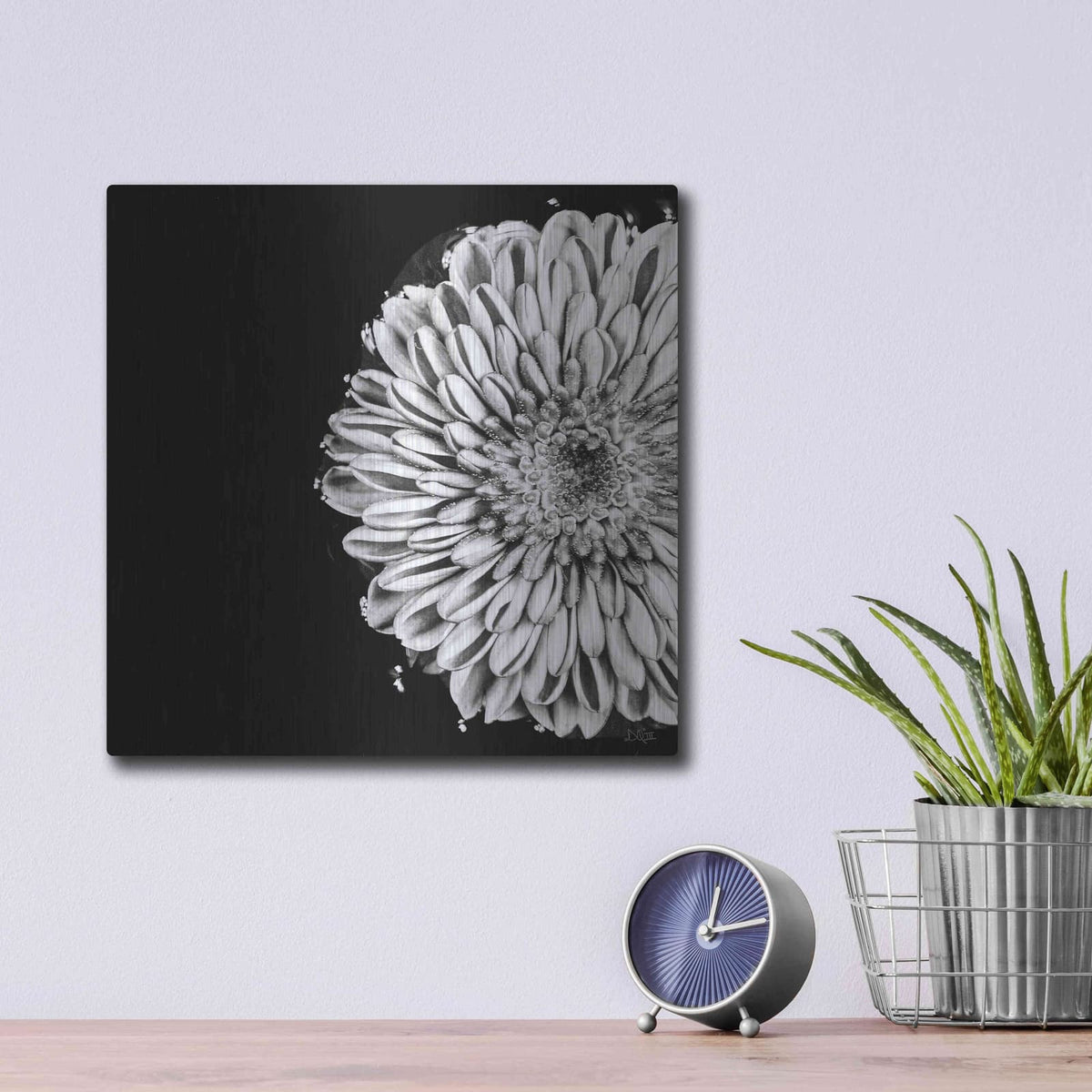 'Black and White Flower Love II' by Donnie Quillen – Metal Wall Art, 12x12 room view