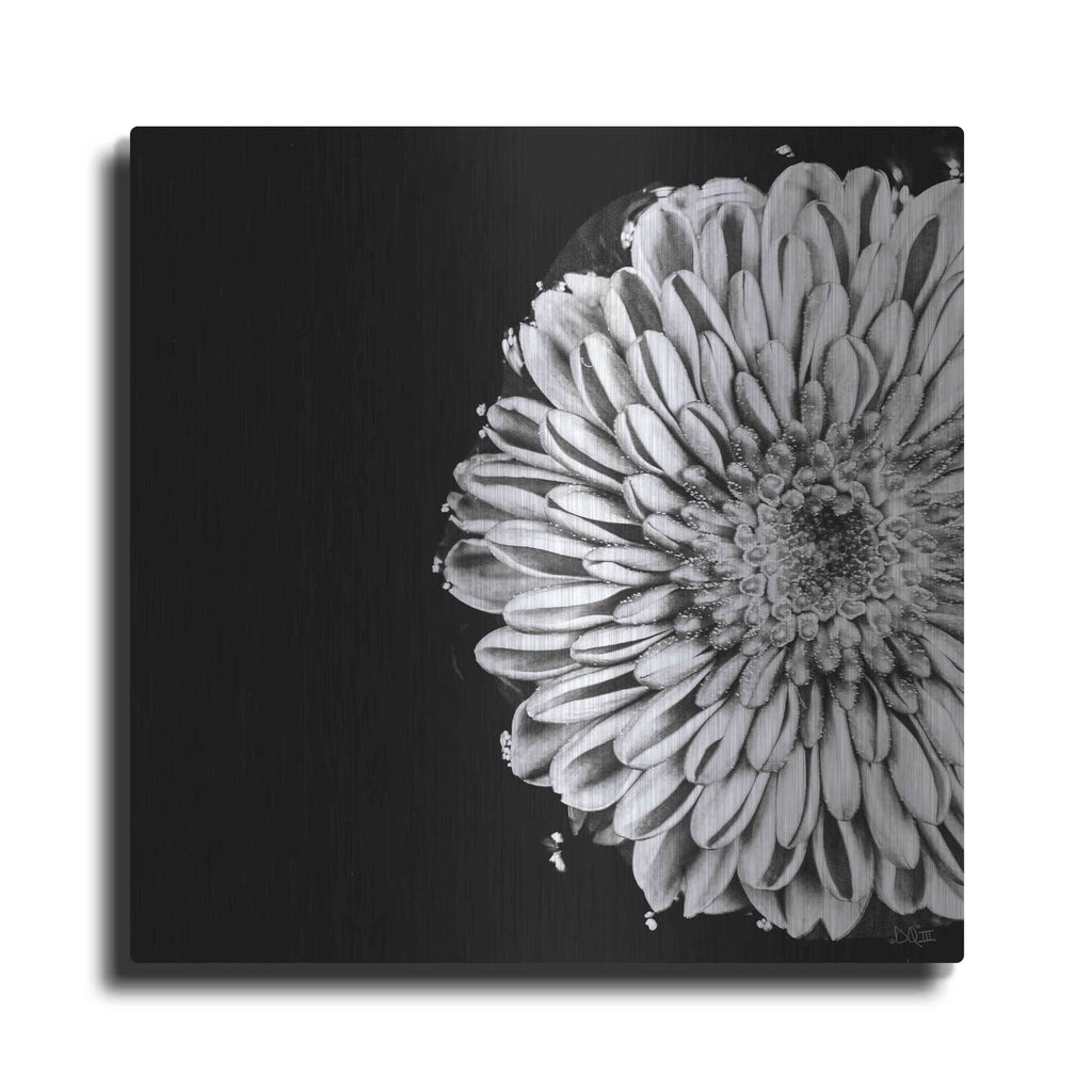 'Black and White Flower Love II' by Donnie Quillen – Metal Wall Art