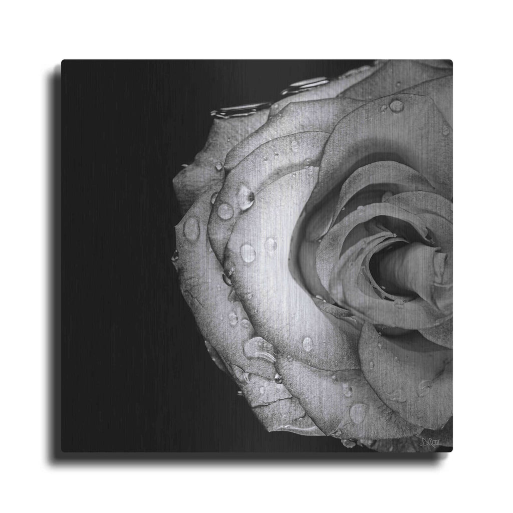 'Lost Love' by Donnie Quillen – Metal Wall Art