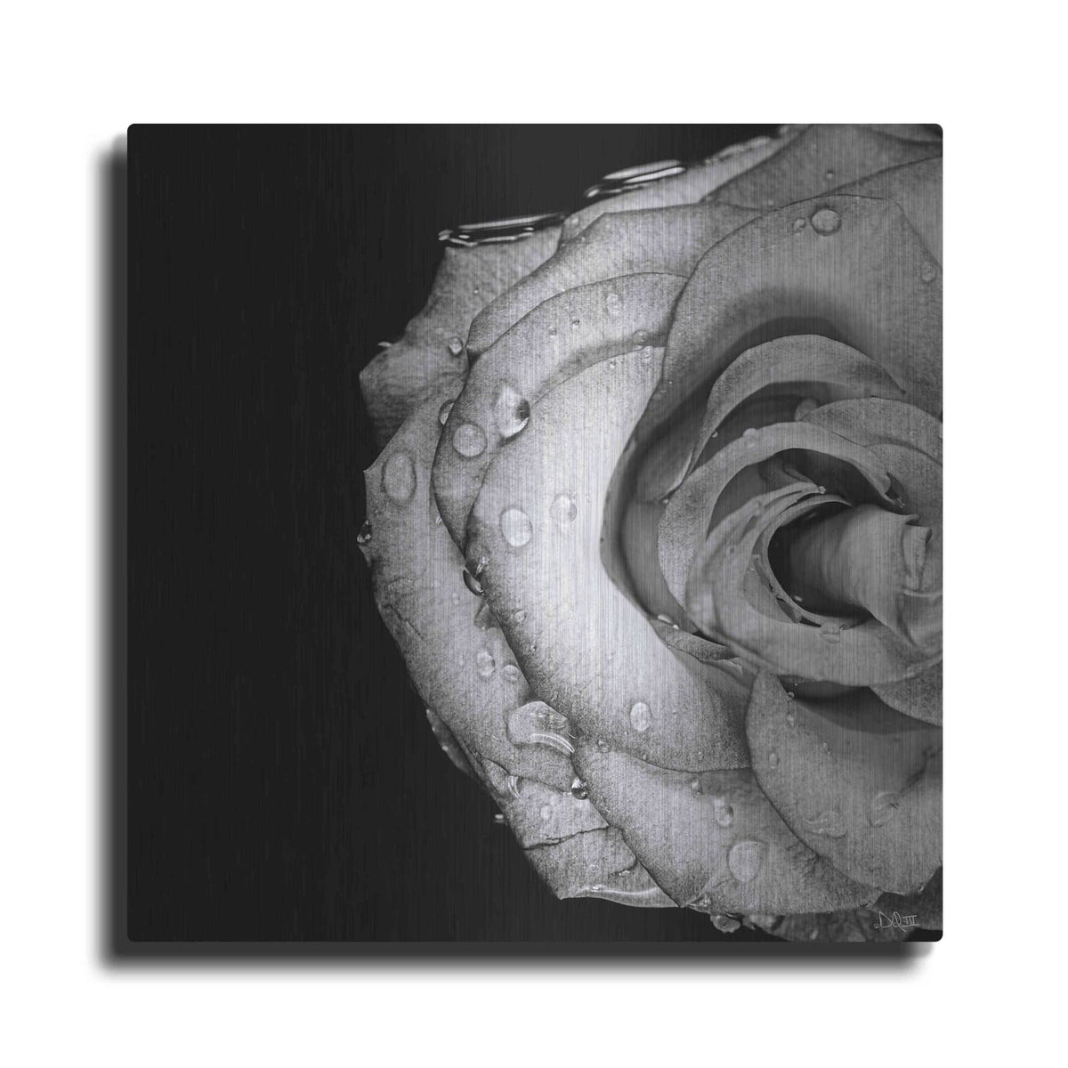 'Lost Love' by Donnie Quillen – Metal Wall Art