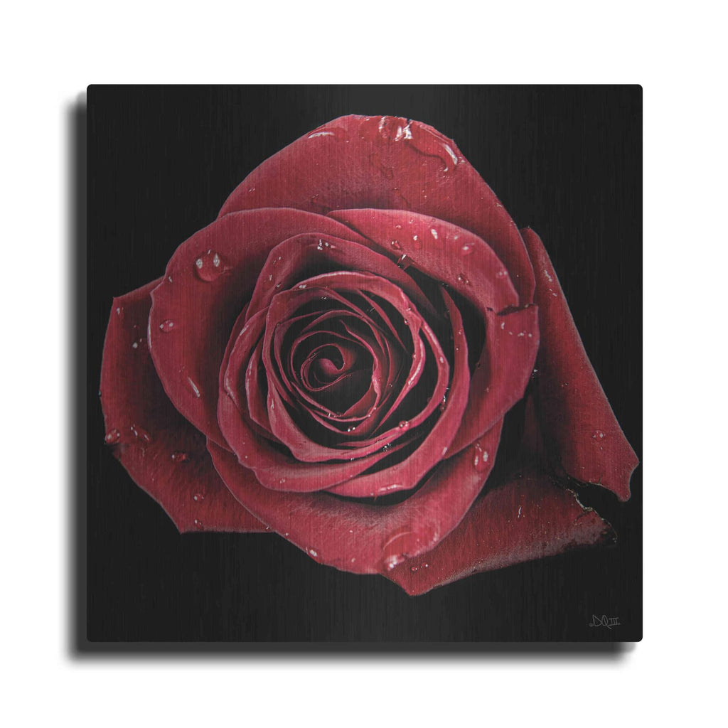 'Broken Heart Rose' by Donnie Quillen – Metal Wall Art