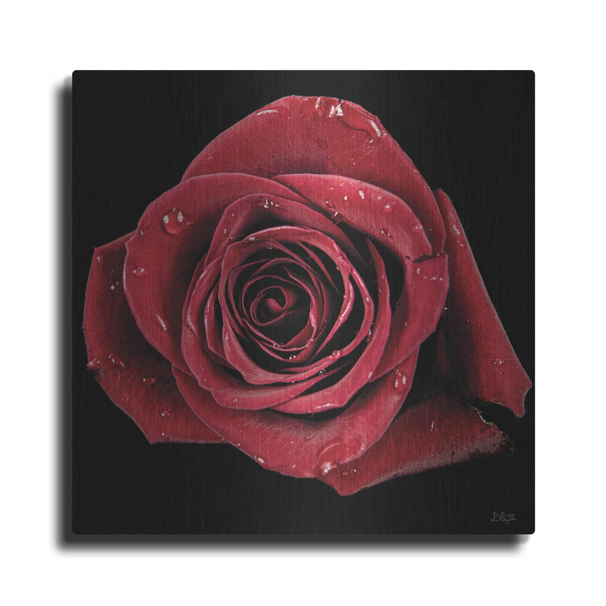 'Broken Heart Rose' by Donnie Quillen – Metal Wall Art