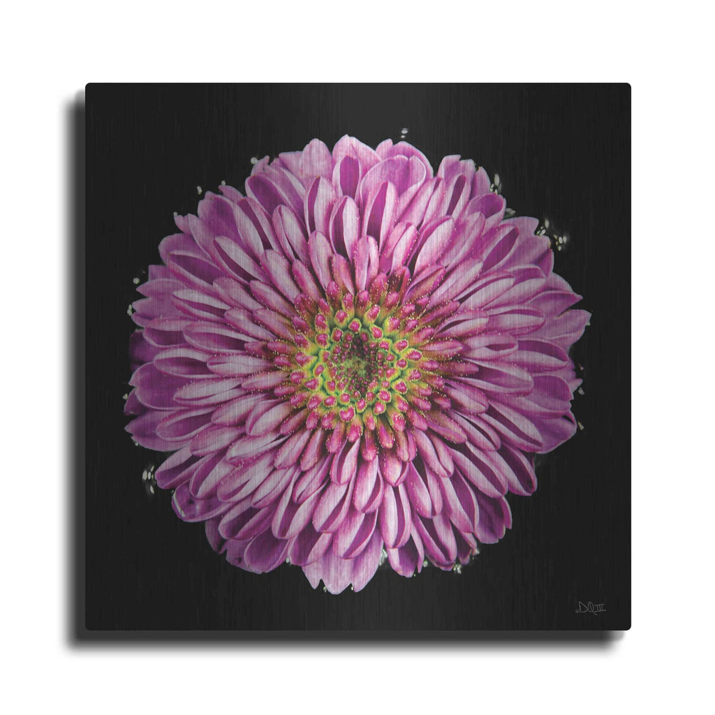 'Purple Gradient' by Donnie Quillen – Metal Wall Art