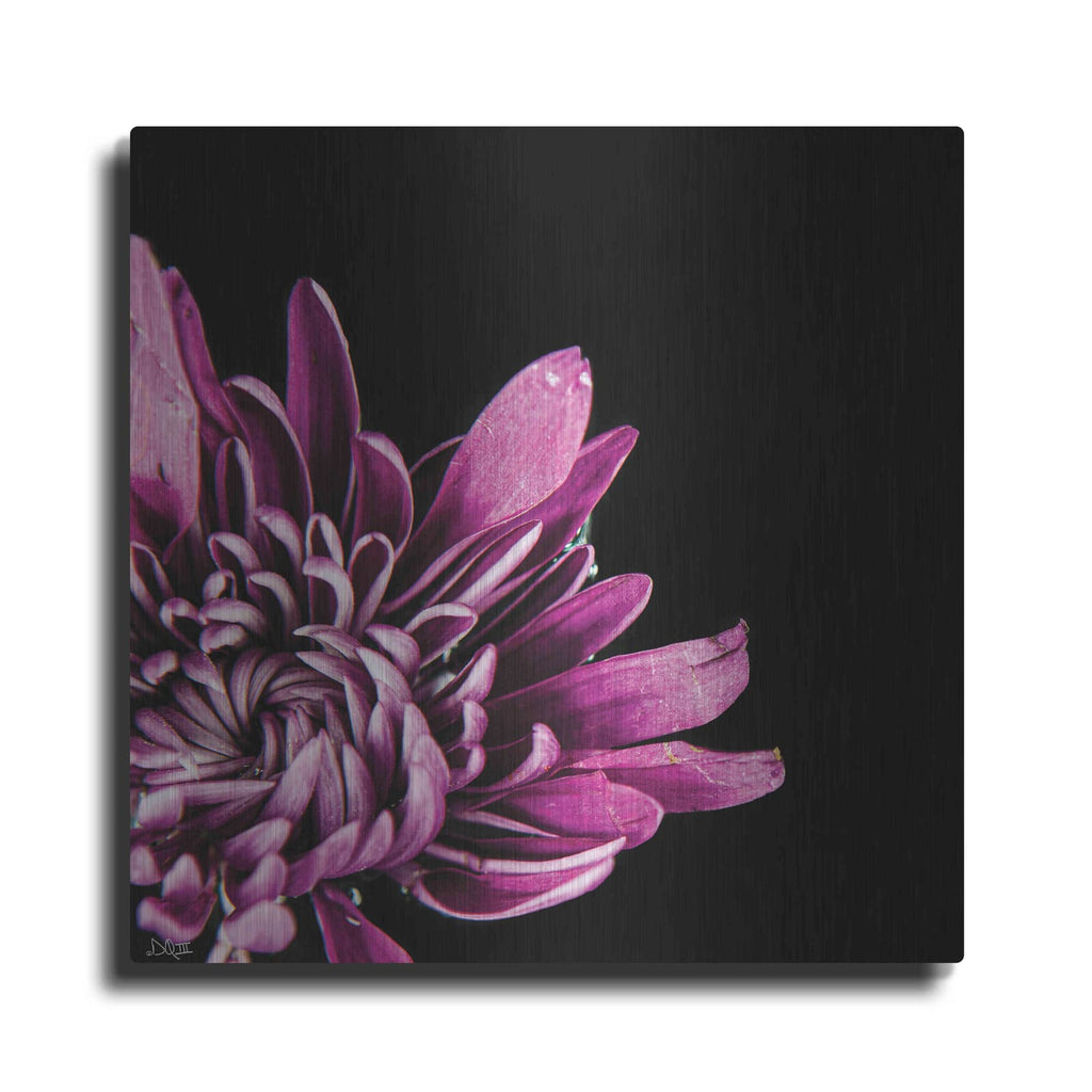 'Love Intertwined I' by Donnie Quillen – Metal Wall Art