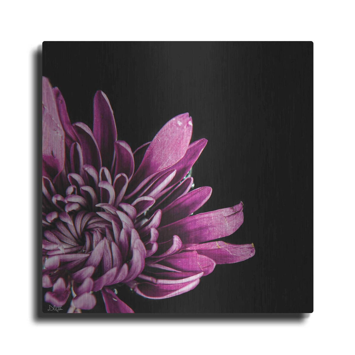 'Love Intertwined I' by Donnie Quillen – Metal Wall Art