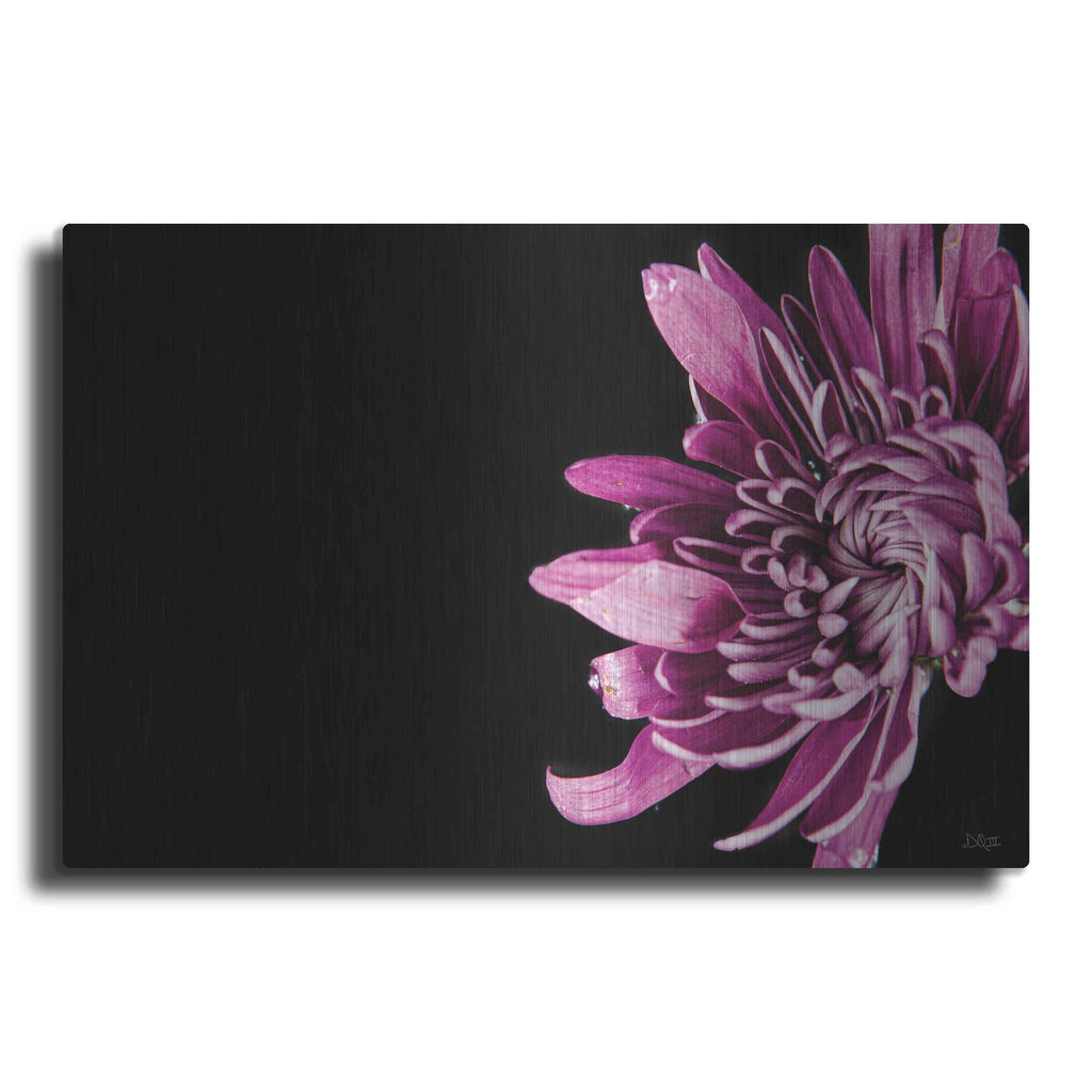 'Love Intertwined II' by Donnie Quillen – Metal Wall Art