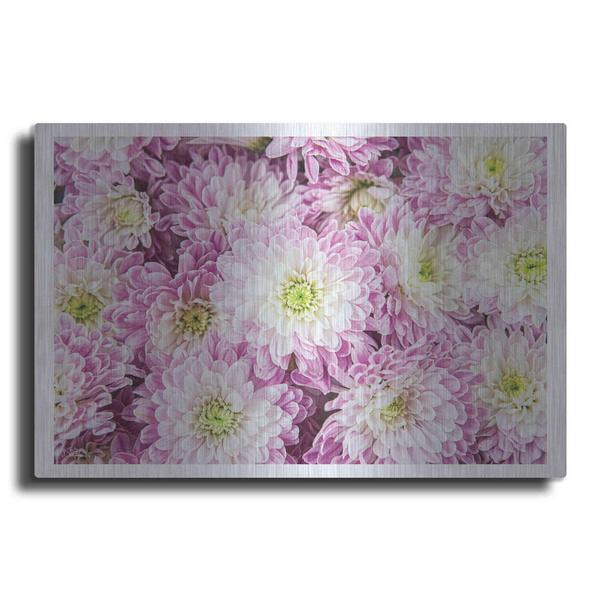 'Pretty in Purple I' by Donnie Quillen – Metal Wall Art