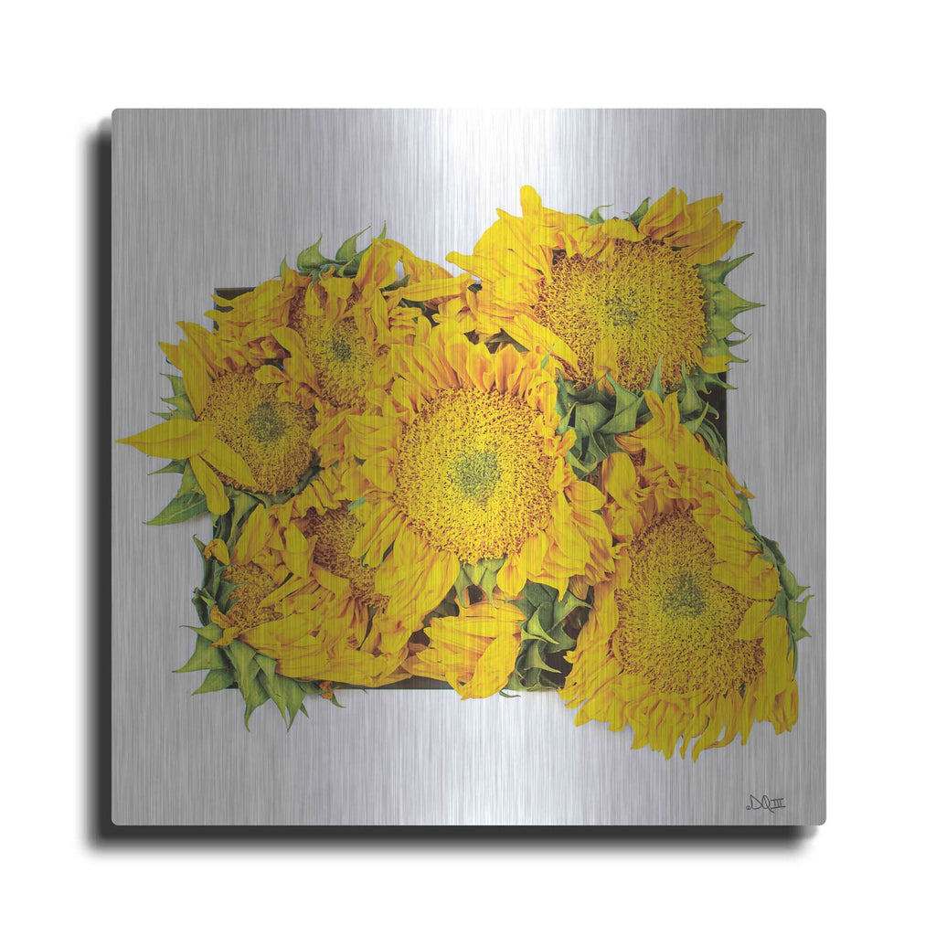 'Fall Feels II' by Donnie Quillen – Metal Wall Art
