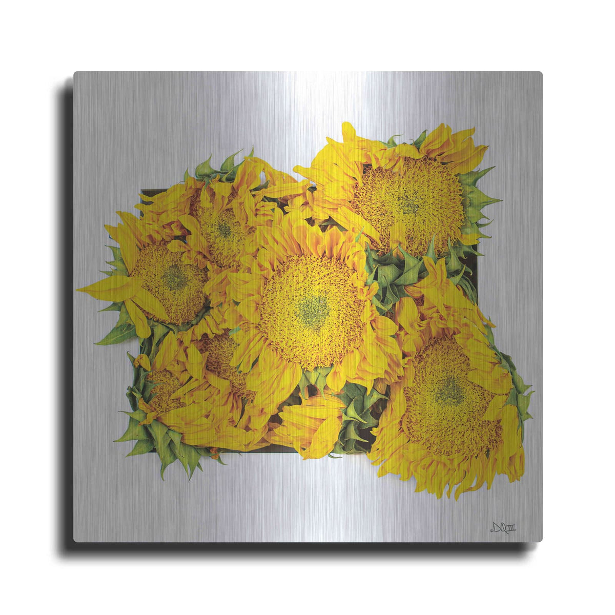 'Fall Feels II' by Donnie Quillen – Metal Wall Art